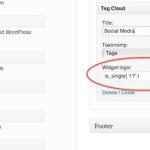 Wordpress Conditional Tags - Widget Logic